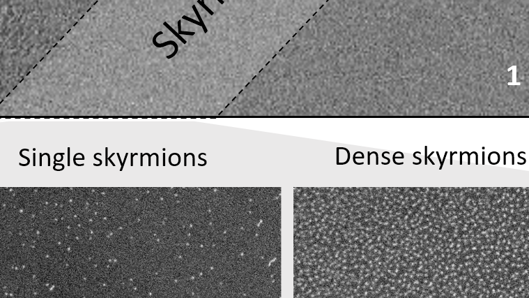 Skyrmionics
