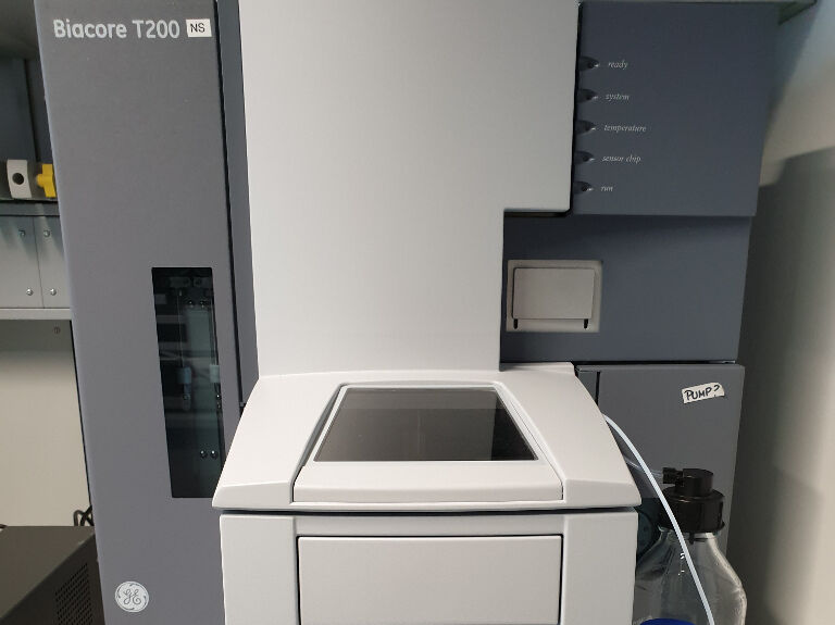 Surface Plasmon Resonance (SPR)- BIAcore T200 (GE Healthcare)