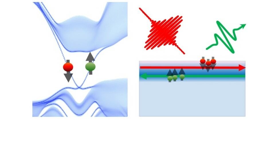 Topological Insulators
