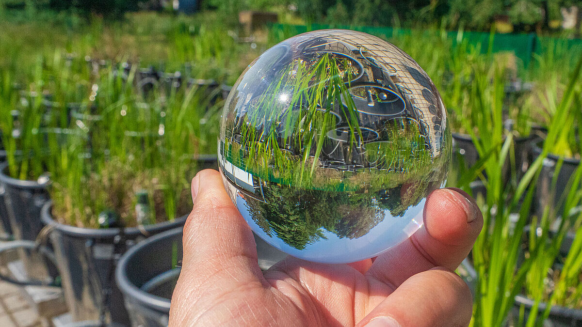 Eine Person hält eine Glaskugel in Ihrer Hand