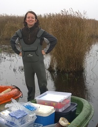 Dr. Franziska Koebsch