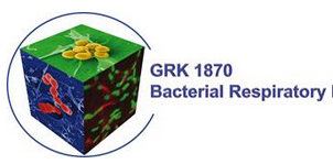 GRK 1870 BacRes