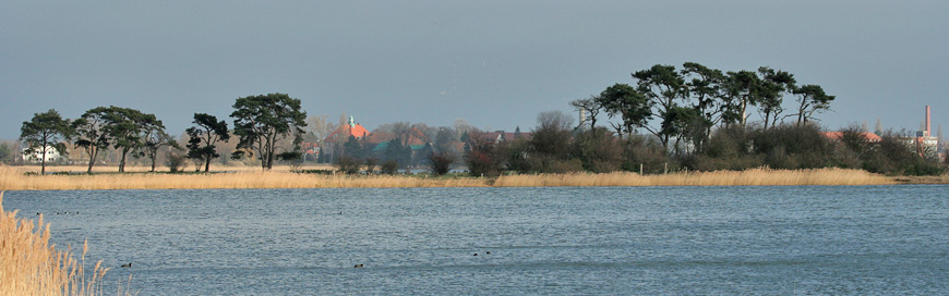 Werderinsel bei Gristow