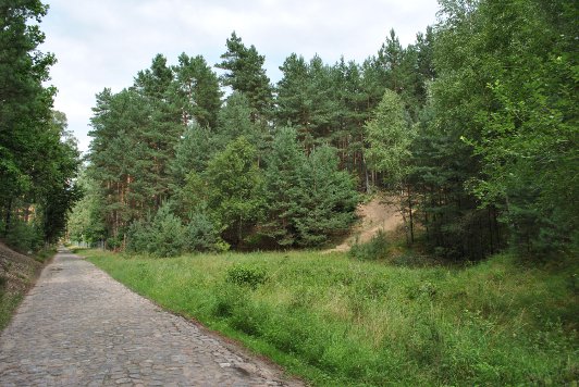 Am Rosenberg, Bodenlehrpfad Melchow Kreis Barnim, Station 4