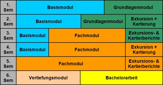 tabellarischer Ablauf des Studiums