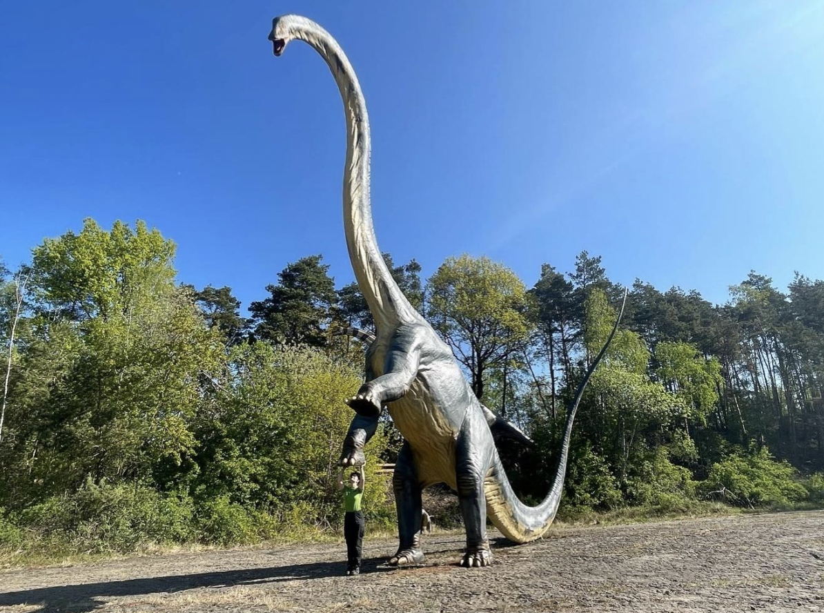 Praktikum im Dinosaurier-Freilichtmuseum Münchehagen